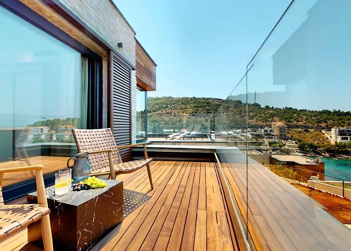 Willa Figs And Olives Dolac