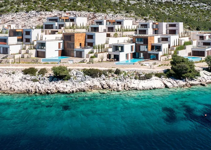 Figs And Olives Dolac