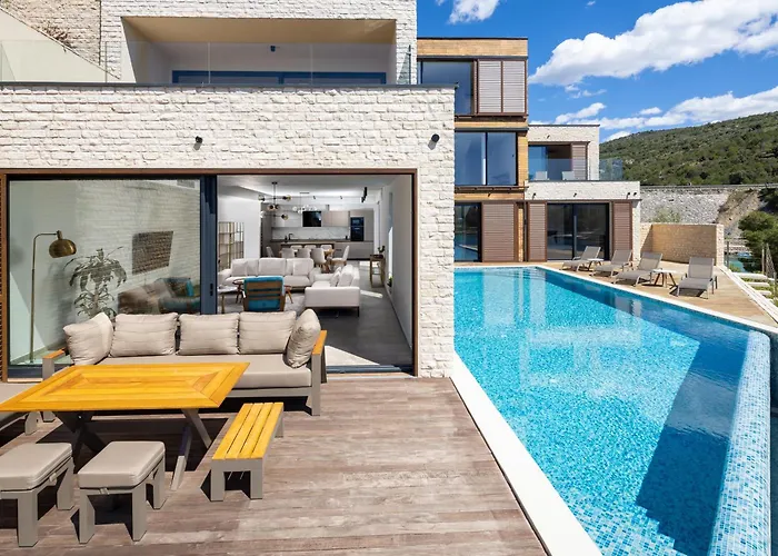 Willa Figs And Olives *