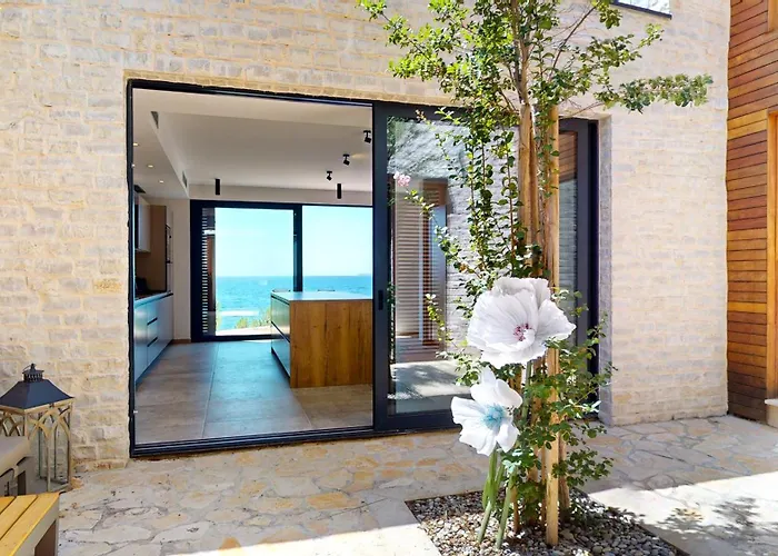 Figs And Olives Willa Dolac